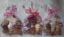 Homemade Gourmet Pet Treats: Gift Pack